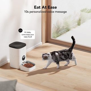 No. 5 - PETLIBRO Automatic Cat Food Dispenser - 3