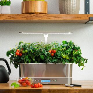 No. 6 - AeroGarden Red Heirloom Cherry Tomato Seed Pod Kit - 5