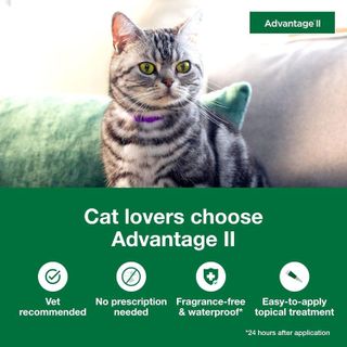 No. 5 - Advantage II Small Cat Vet-Recommended Flea Treatment & Prevention - 3