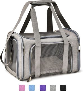 Top 10 Best Pet Carriers and Strollers for Travel with Cats and Dogs- 3