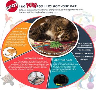 No. 5 - SPOT Cat Toys for Indoor Cats - 4