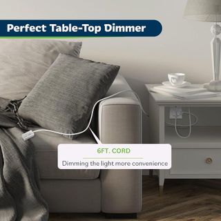 No. 9 - TOPGREENER Table-Top Plug in Dimmer - 5