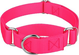 No. 10 - Hot Pink Martingale Heavy Duty Nylon Dog Collar - 5