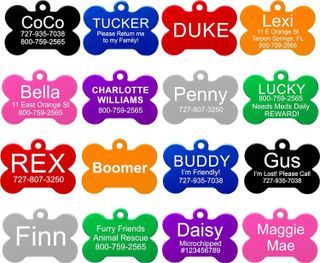 Top 10 Best Pet ID Tags for Dogs and Cats- 1