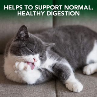 No. 2 - Vet's Best Cat Hairball Relief Digestive Aid - 3