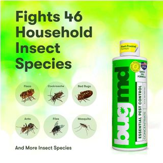 No. 8 - BugMD Pest Control Essential Oil Concentrate - 3