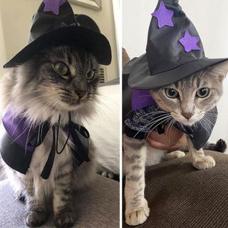 No. 10 - ADOGGYGO Cat Witch Costume - 4