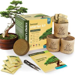 No. 5 - Planters' Choice Bonsai Kit - 1