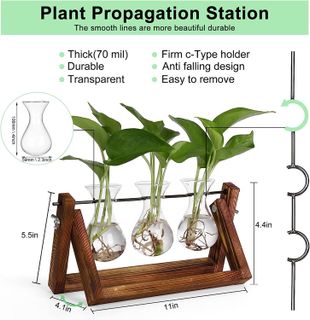 No. 10 - Plant Propagation Station with Wooden Stand - 3
