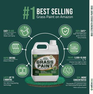 No. 3 - PetraTools Grass Paint - 4