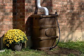 No. 7 - FCMP Outdoor Wood Grain Rain Barrel - 2