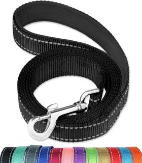 No. 9 - FunTags 6FT Reflective Dog Leash - 1