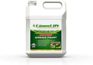 No. 10 - LawnLift Grass Paint - 1