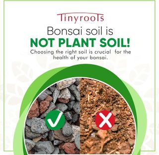 No. 6 - Tinyroots Bonsai Soil - 2