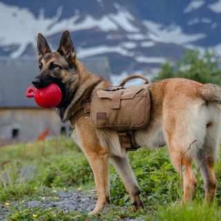 No. 5 - OneTigris Dog Pack Hound Travel Camping Hiking Backpack - 5