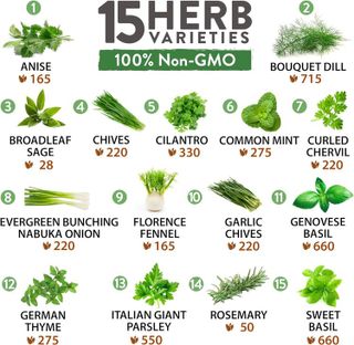 No. 2 - 4500+ Heirloom Herb Seed Pack - 2