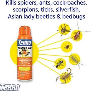 No. 7 - Terro Spider Killer Spray - 3