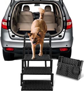 10 Best Dog Car Ramps for Traveling with Your Pet- 3