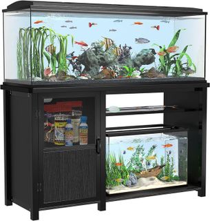 Top 10 Aquarium Stands for Your Fish Tank- 2