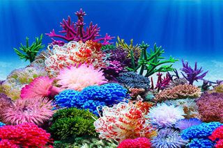 No. 8 - ELEBOX Fish Tank Background Stickers Wallpaper - 3