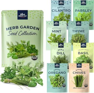 Top 10 Best Organic Herb Seeds for Indoor and Outdoor Planting- 5