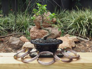 No. 2 - Anodized Aluminum Bonsai Training Wire Starter Set - 3