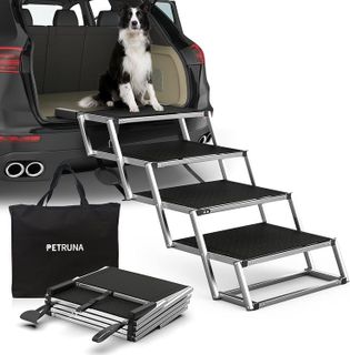 10 Best Dog Car Ramps for Traveling with Your Pet- 4