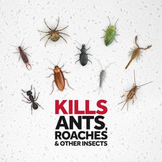 No. 4 - Raid Ant & Roach Killer 26 - 3