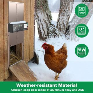 No. 9 - Automatic Chicken Coop Door - 5