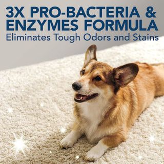 No. 4 - Simple Solution Extreme Pet Stain And Odor Remover - 4