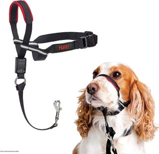 10 Best Dog Head Collars for Leash Training in 2021- 2