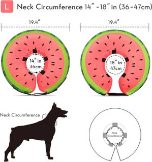 No. 4 - MIDOG Dog Cone Collar - 5