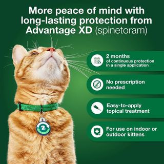 No. 10 - Advantage XD Large Cat Flea Prevention & Treatment - 4