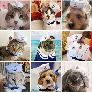 No. 1 - NAMSAN Dog Sailor Hat and Tie Costume - 4