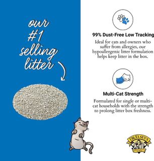 No. 2 - Dr. Elsey’s Premium Clumping Cat Litter - 3