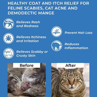 No. 8 - BestLife4Pets Demodectic Mange and Scabies Relief for Cats - 3