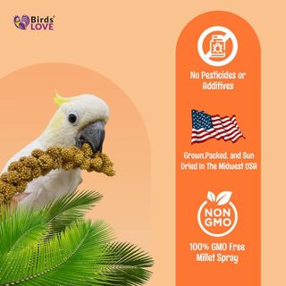 No. 7 - Birds LOVE Wholesome & Lovely Spray Millet - 5