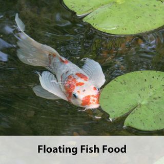 No. 5 - Kaytee Koi's Choice Koi Floating Fish Food - 4