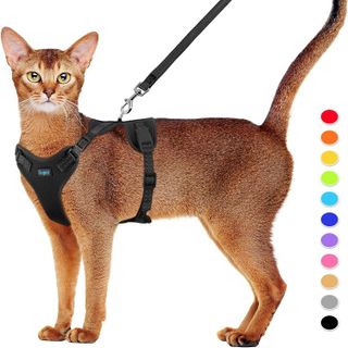 No. 10 - Supet Cat Harness and Leash Set - 1