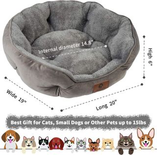 No. 2 - Asvin Small Dog Bed - 3