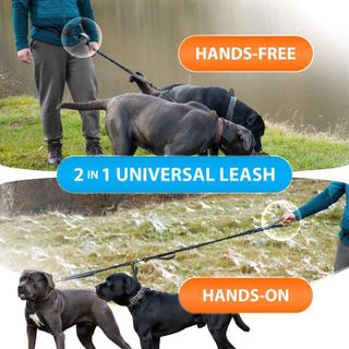 No. 7 - SparklyPets Hands Free Double Dog Leash - 5