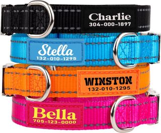 No. 3 - PAWBLEFY Personalized Dog Collar - 1