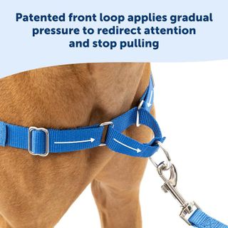 No. 9 - PetSafe Easy Walk Dog Harness - 3