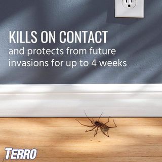 No. 7 - Terro Spider Killer Spray - 5