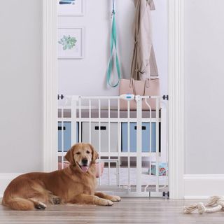 Top 10 Best Pet Gates for Dogs and Cats- 4