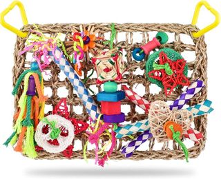 No. 4 - KATUMO Bird Foraging Wall Toy - 1