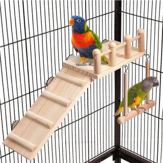 Top 10 Best Bird Ladders for Small and Medium Birds- 1