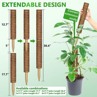 No. 6 - Plant Poles for Climbing Plants - 4