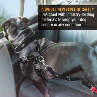 No. 6 - Active Pets Dog Car Harness - 5