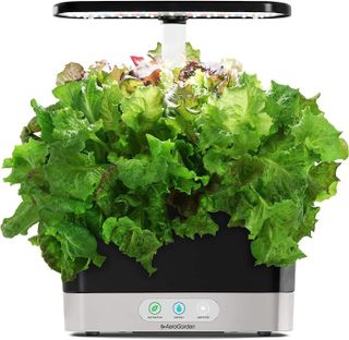 No. 7 - AeroGarden Salad Greens Seed Pod Kit - 3